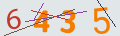 verifycode